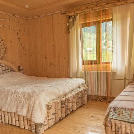 Плай Villa Verkhovyna Dış mekan fotoğraf