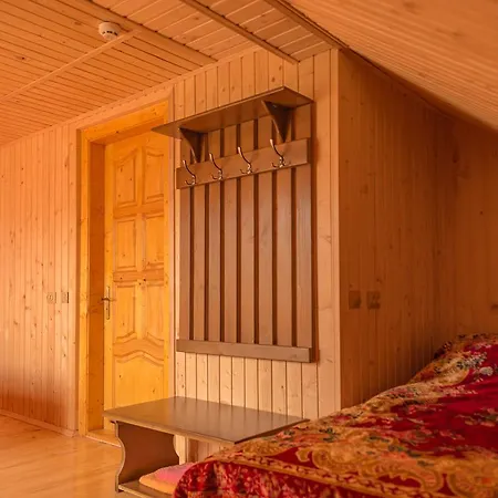 Плай Villa Verkhovyna Dış mekan fotoğraf